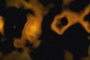 Gold Veil preset preview