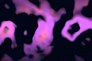 Neon Curtain preset preview