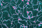 Neon Pool preset preview