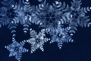 Polar Night preset preview
