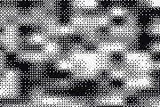 Print Screen preset preview